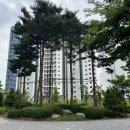 지에스25 동탄포레나점 | [동탄 8억대 아파트] 한화포레나 동탄호수 아파트 임장 분석