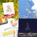 푸르윤스튜디오