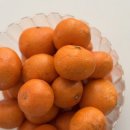 효창농장 이미지