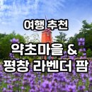 한다리마을 이미지