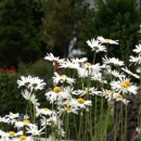 지리산한옥민박 이미지