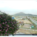 도개커피숍