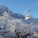 케이블카 이미지