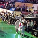 한라태권도 이미지