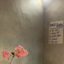 탠 포지티브 이미지