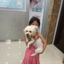 비스타안과의원 이미지