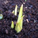 약선당한의원 이미지