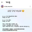 오늘부터디데이마카롱 이미지