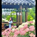 구리한강시민공원 이미지