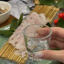 동해참가자미 | [교대 장간장새우]쯔양도 반한 해산물맛집에서 귀한 참가자미 세꼬시 회식 후기🎣