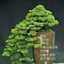 행복상사 이미지
