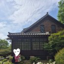 대구 삼성라이온즈파크 원정 후기 겸 당일치기 대구 여행 후기