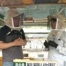 벌꿀농장 이미지