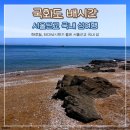 국화도 | 국화도 배시간 보고 다녀온 1박 2일 국내 섬여행 -좌대낚시, 바지락 해루질하기 좋았어요