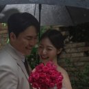 엔비오오(NBOO)