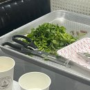 삼부자미나리 이미지