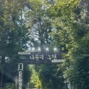 나폴리 | 통영 나폴리농원 후기｜40도 폭염에도 시원했던 편백숲 숲캉스