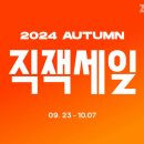 지그재그 이미지