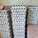 금산청계농장 이미지