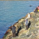 남항대교 이미지