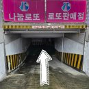 에이스동물메디컬센터 이미지