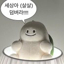신석 이미지