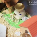 쁘띠꼬미