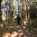 봉평동사무소 이미지