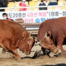한국의령방역