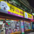 펫츠랑 이미지