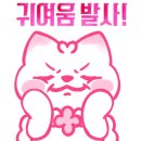 밸런스독 애견펜션 이미지