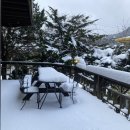 (주)제일식자재마트 이미지