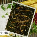 산삼하우스 이미지