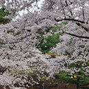 두류공원1공영주차장 이미지