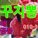 두배식당 이미지