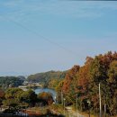 보나의언덕 이미지