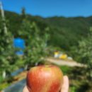 교동농원