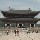 효심조경