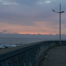 한아름목장2 이미지