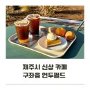 언두 | 제주도 구좌 신상카페 언두필드