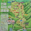 인제04-2 이미지