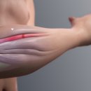 논현연세정형외과의원 이미지