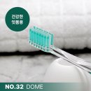 스카이덴트 이미지