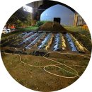 의왕옥 | 의왕 맛집 추천 어울더울 과천본점 캠핑장 느낌 나는 곳