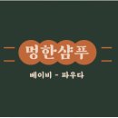 보람애견 이미지