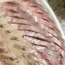 속초 회 포장 맛집 신유네회포장 당일 예약 성공 후기 - 내돈내산 모둠소 모둠대