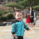 고고씽 이미지