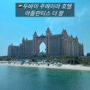 UAE 두바이 주메이라 호텔 아틀란티스 더 팜 팜뷰 후기