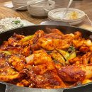 조가네갑오징어원주점 이미지