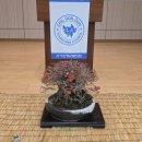 가산평생학습복지센터 | 가산청년협의회 창립42주년 기념식 연임하는 김천수 회장